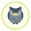 Curieux hibou