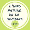 Le Héron cendré *Ardrea cinerea*
