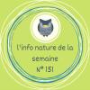 Affiche Le Maïanthème à deux feuilles