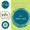 Affiche info de la semaine 163